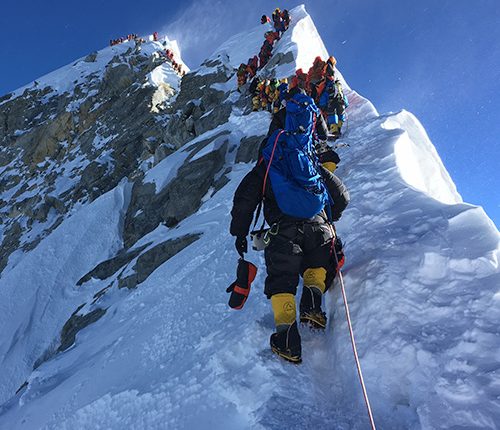 Himalayan